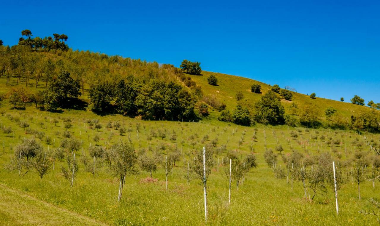 La Quercia - Bolognarooms Сассо-Маркони Экстерьер фото